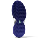 Încălțăminte de tenis pentru femei adidas Barricade W Clay Blue/Violet