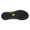 Încălțăminte outdoor pentru bărbați Merrell Capra 2 GTX Black/Charcoal