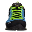 Încălțăminte outdoor pentru bărbați Salewa  MS MTN Trainer 2 Gtx Blue Danube/Fluo Green