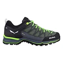 Încălțăminte outdoor pentru bărbați Salewa  MS MTN Trainer Lite Gtx Myrtle/Ombre Blue