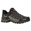 Încălțăminte outdoor pentru bărbați Salewa  MS MTN Trainer Lite Gtx  Wallnut/Fluo Orange