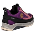 Încălțăminte outdoor pentru femei Hanwag Rotpunkt Light Low Lady GTX Rose/Purple