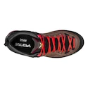 Încălțăminte outdoor pentru femei Salewa  MTN Trainer 2 GTX