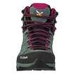 Încălțăminte outdoor pentru femei Salewa  WS Alp Trainer 2 MID GTX