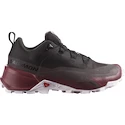 Încălțăminte outdoor pentru femei Salomon  CROSS HIKE GTX 2 W