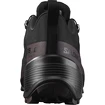 Încălțăminte outdoor pentru femei Salomon  CROSS HIKE GTX 2 W