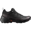 Încălțăminte outdoor pentru femei Salomon  CROSS HIKE GTX 2 W