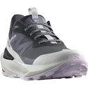 Încălțăminte outdoor pentru femei Salomon Elixir Activ Gore-Tex India Ink/Glacier Gray/Orchid Petal