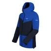 Jachetă pentru bărbați Salewa  Puez 2L Gore-Tex Electric