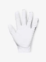 Mănuși de golf pentru bărbați Under Armour  Medal Golf Glove-BLK