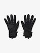 Mănuși pentru bărbați Under Armour  Insulated Gloves-BLK