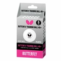 Mingi Butterfly  Training Ball 40+ White (6 ks)