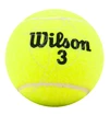 Mingi de tenis Wilson  Championship (4 Pack)