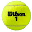 Mingi de tenis Wilson  Roland Garros All Court (4 Pack)