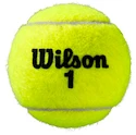 Mingi de tenis Wilson  Roland Garros All Court (4 Pack)