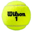 Mingi de tenis Wilson  Roland Garros Clay (3 Pack)