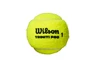 Mingi de tenis Wilson  Triniti Pro (4 Pack)