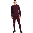 Pantaloni de trening pentru bărbați Under Armour  Terry Pant Red