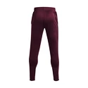 Pantaloni de trening pentru bărbați Under Armour  Terry Pant Red