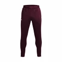 Pantaloni de trening pentru bărbați Under Armour  Terry Pant Red