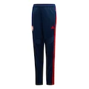 Pantaloni de trening pentru copii adidas  Arsenal FC 176 cm