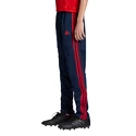 Pantaloni de trening pentru copii adidas  Arsenal FC