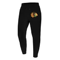 Pantaloni pentru bărbați 47 Brand  NHL Chicago Blackhawks Imprint ’47 BURNSIDE Pants