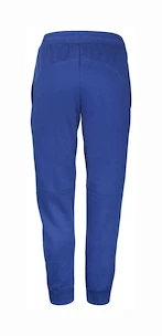 Pantaloni pentru bărbați Babolat  Exercise Jogger Pant M Sodalite Blue