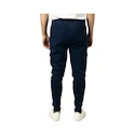 Pantaloni pentru bărbați Bauer  Gamechanger Jogger Navy