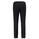 Pantaloni pentru bărbați Salewa  Agner Orval 3 DST M Reg Pants