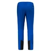 Pantaloni pentru bărbați Salewa  Agner Orval 3 DST M Reg Pants