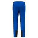 Pantaloni pentru bărbați Salewa  Agner Orval 3 DST M Reg Pants