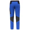 Pantaloni pentru bărbați Salewa  Pedroc 2 DST M Light Pants Electric