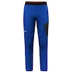 Pantaloni pentru bărbați Salewa  Pedroc 2 DST M Light Pants Electric L