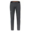 Pantaloni pentru bărbați Salewa  Pedroc 4 DST M Reg Pants