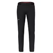 Pantaloni pentru bărbați Salewa  Pedroc 4 DST M Reg Pants