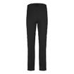 Pantaloni pentru bărbați Salewa  Talveno 2 DST M 2/1 PNT Black Out