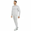 Pantaloni pentru bărbați Tecnifibre  Club Pants Silver