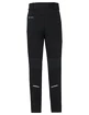 Pantaloni pentru bărbați VAUDE  Larice Pants IV Black