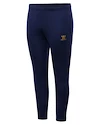 Pantaloni pentru bărbați Warrior Aurum Travel Pant Navy