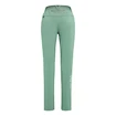 Pantaloni pentru femei Salewa  Pedroc 3 DST Feldspar green