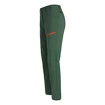 Pantaloni pentru femei Salewa  Puez DST Raw Green