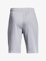 Pantaloni scurți pentru băieți Under Armour  Prototype 2.0 Logo Shorts gray