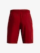 Pantaloni scurți pentru băieți Under Armour  Woven Graphic Shorts-RED