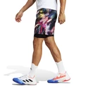 Pantaloni scurți pentru bărbați adidas  Melbourne Ergo Tennis Graphic Shorts Multicolor/Black