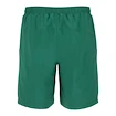 Pantaloni scurți pentru bărbați Fila  Shorts Santana Green Jacket