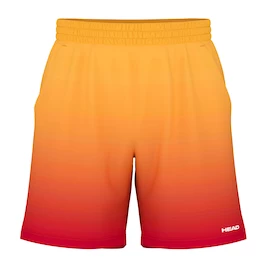 Pantaloni scurți pentru bărbați Head Power II Shorts Men BNRD