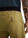 Pantaloni scurți pentru bărbați Klättermusen  Nal Shorts Meadow Green