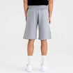 Pantaloni scurți pentru bărbați New Era  Colour Block Short NBA Boston Celtics