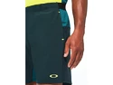 Pantaloni scurți pentru bărbați Oakley  Performance RC  Short